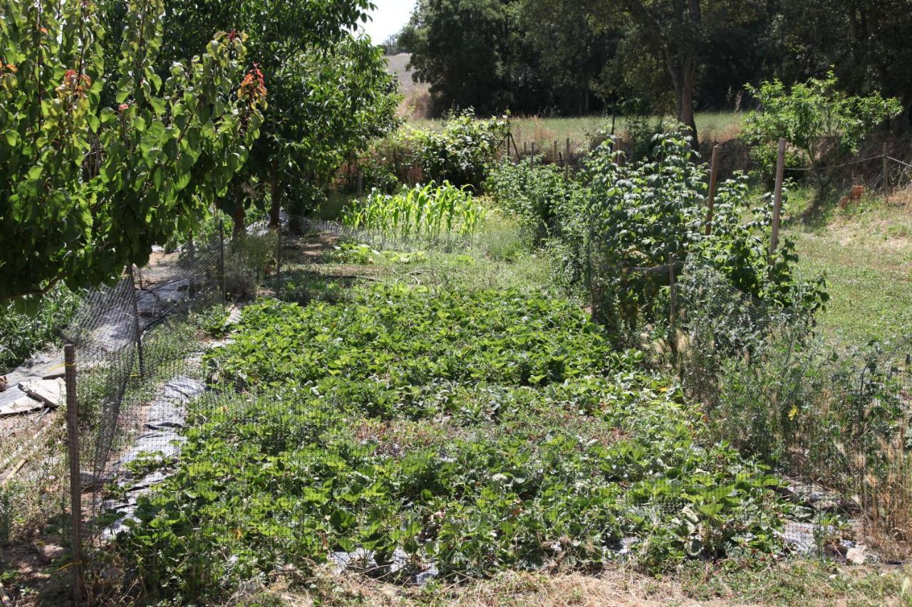 Can Cabanyes Llagostera Bagian luar foto